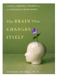 the brain changes itself