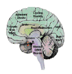 brain icon regarding renewing the mind