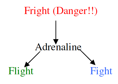 fright (danger) graph