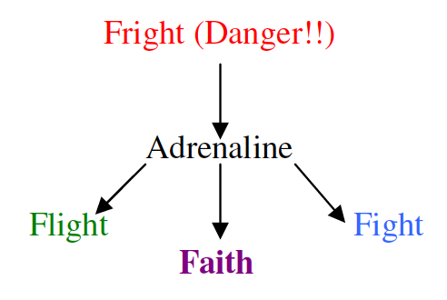 fright (danger) adrenaline graph