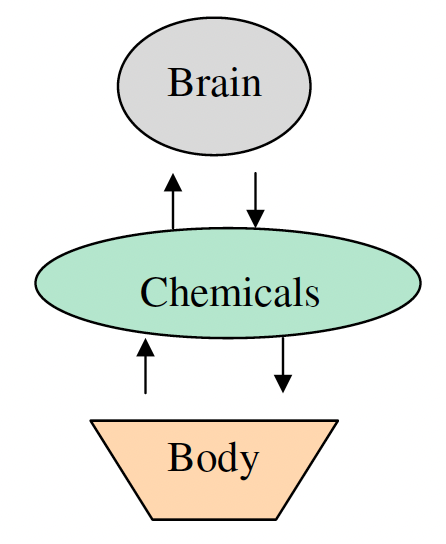 Materialist View of brain, chemical and body