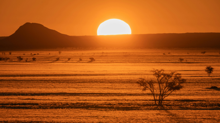 sun setting in desert look
